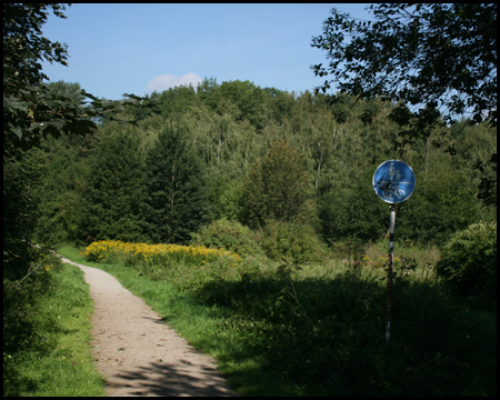 Der Fußweg läuft direkt auf die Halde Dorstfeld I / IV zu
