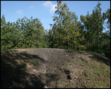 Letzte und höchste Spitze der südlichen Kegelreihe (85m ü. NN)