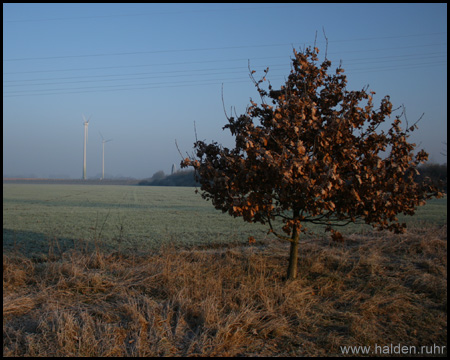 Landwirtschaftliche Flächen 