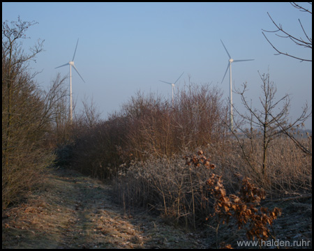 Windräder auf der nördlichen Halde