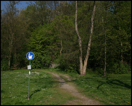 Fußweg zur Halde von der Kleinen Dürerstraße