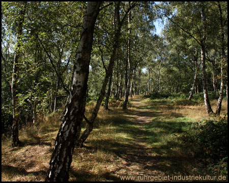 Weg entlang der Haldenflanke