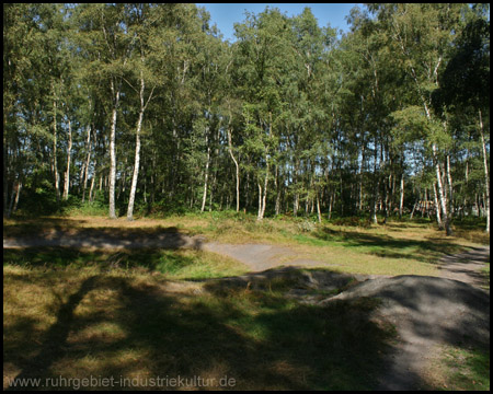 Mountainbike-Parcours, ganz hinten Trafostation