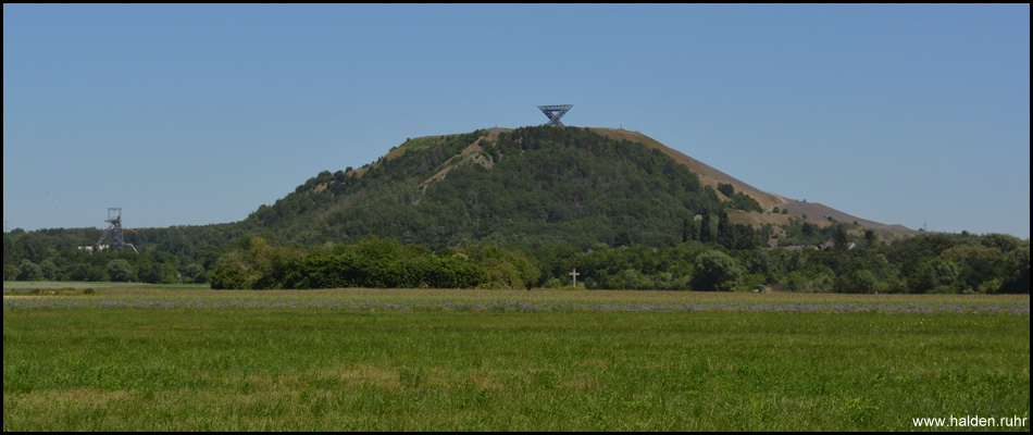 Die Halde Ensdorf mit ihrem Saarpolygon auf dem Gipfel – von Saarlouis gesehen. Links ist ein Förderturm der Grube Duhamel sichtbar