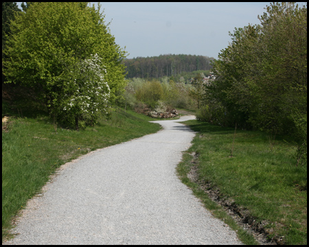 Hinten grenzt die bewaldete Haard an die Halde an