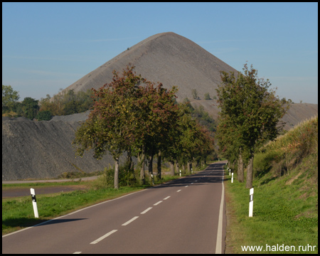 Halde Fortschrittschacht von der Landstraße gesehen