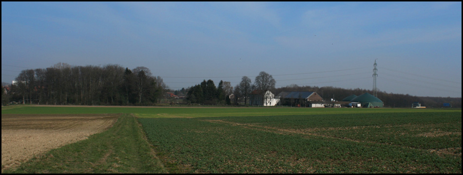 Ehemaliges Zechengelände Alter Hellweg Schacht Friederica: Links die Halde, rechts zum Teil erhaltene Gebäude mit Hofnutzung