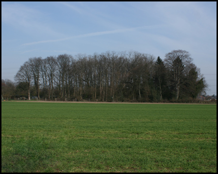 Halde Friederica / Alter Hellweg von Süden gesehen