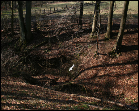 Mundloch (Pfeil): Bachwasser tritt aus – im Foto unsichtbar