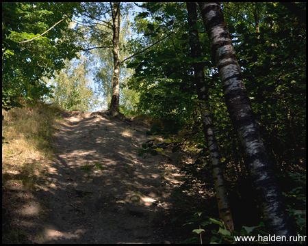 Halde Gärtnerbecken in Dinslaken