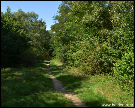 Halde Gärtnerbecken in Dinslaken