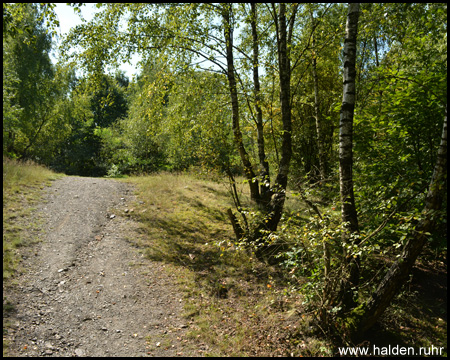 Halde Gärtnerbecken in Dinslaken