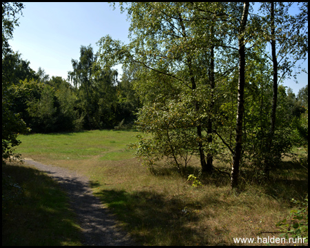 Halde Gärtnerbecken in Dinslaken