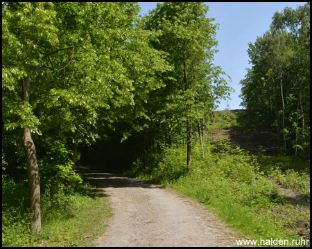 Der Weg führt kurz und steil bergauf