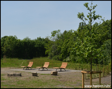 Hölzerne Sonnenliegen an der Südostecke der Halde