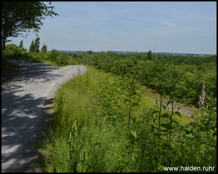 Aussicht an der Nordost-Ecke und Abstieg