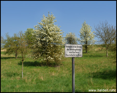 Blühende Bäume auf dem Haldenhang hinter Verbotsschildern