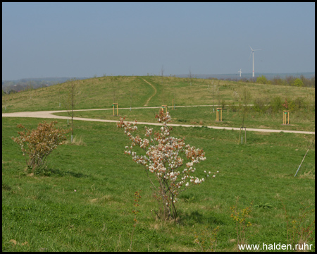 Gipfel der Halde mit Wegen