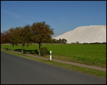 Allee und Kalihalde