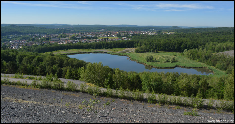 Blick nach Süden auf Quierschied und den Kohlbachweiher im Vordergrund