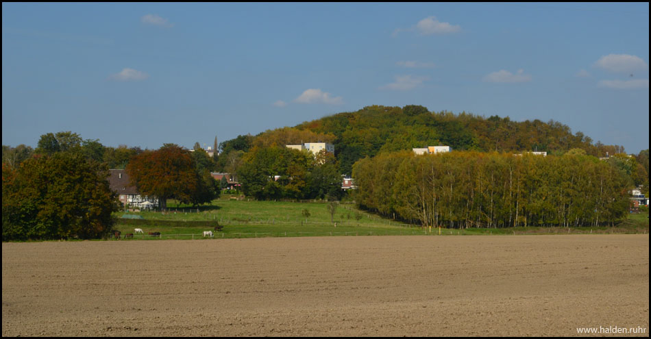 Halde Gotthelf der Zeche Glückauf Tiefbau von Kirchhörde aus gesehen