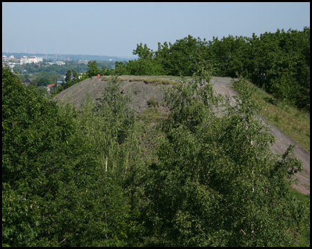 Blick von der zugewachsenen Plattform auf dem Südgipfel