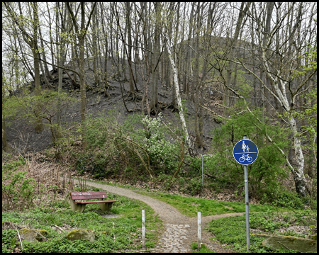 Rad- und Fußweg vorbei an einer bewachsenen Halde in Dortmund