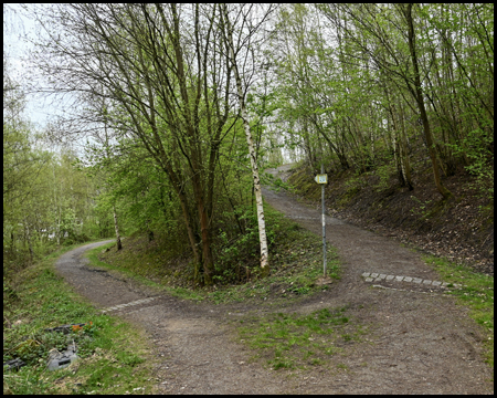 Wege führen auf unterschiedliche Höhenstufen im Wald