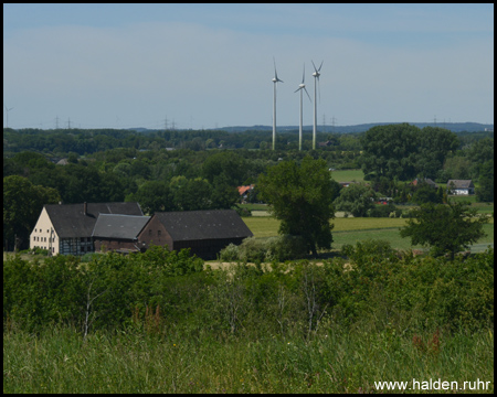 Halde Groppenbruch in Dortmund