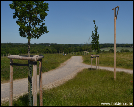 Halde Groppenbruch in Dortmund