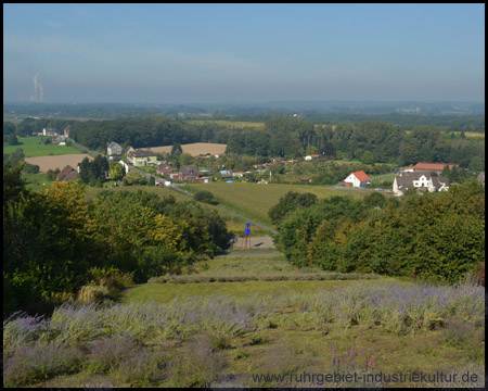 Westflanke zur Waldstraße mit dem blauen Band