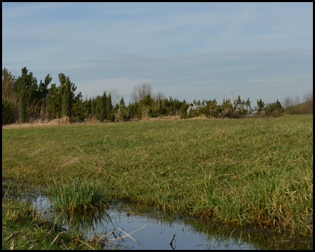 Wassergräben auf dem Baumplateau