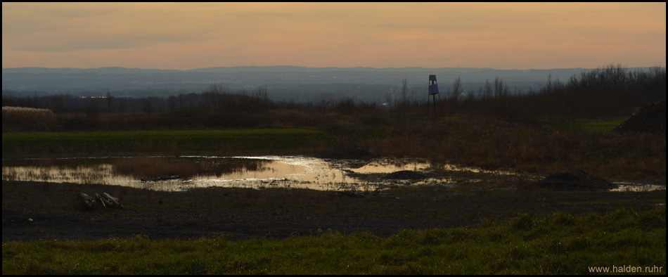 Blick von der zukünftigen "Himmelsrampe" über den Korridorpark mit den Gräserfeldern auf den Haarstrang ins Sauerland