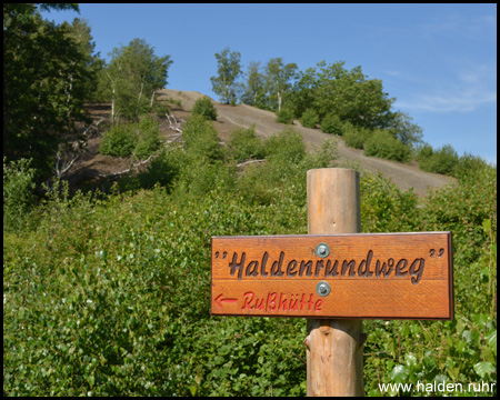 Der Haldenrundweg führt direkt am Aufstieg vorbei