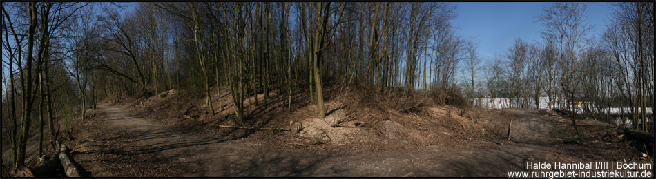 Panoramabild der langen Ostspitze der dreieckigen Halde 