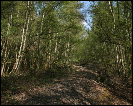 Alte Eisenbahnstrecke mit Betonfundament eines Kilometersteins