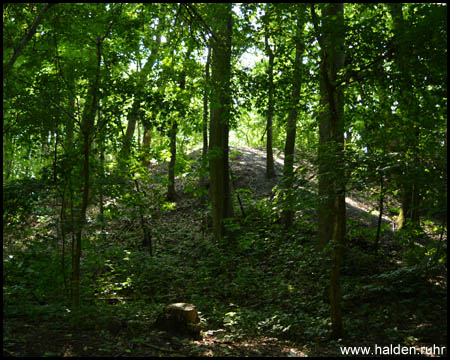 Halde Hasenwinkel in Bochum