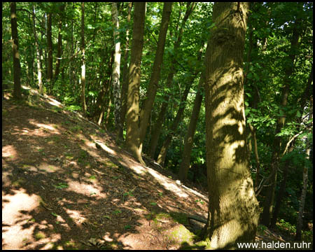 Halde Hasenwinkel in Bochum