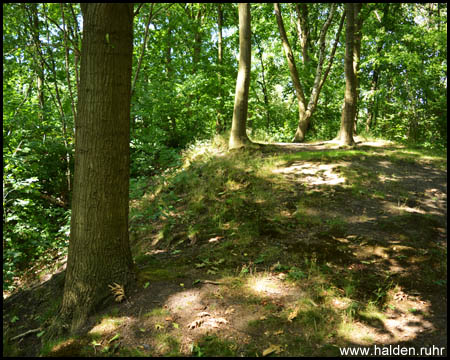 Halde Hasenwinkel in Bochum