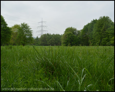 Ausläufer des Ökologischen Lehr- und Musterparks