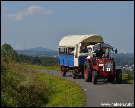 Planwagenfahrt vor der Halde Oberscholven im Hintergrund