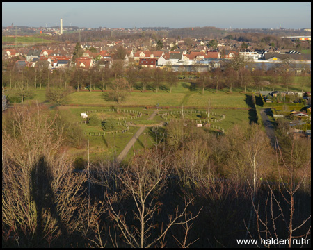 Blick auf den Interkulturellen Garten