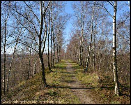 Kammweg auf der Halde Ickern