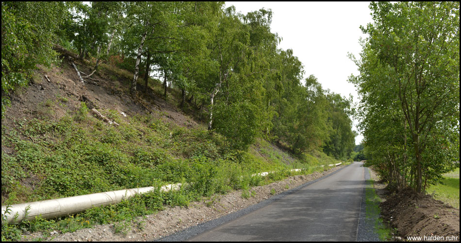 Der Radweg auf der König-Ludwig-Trasse führt direkt an der Südflanke der Bergehalde entlang