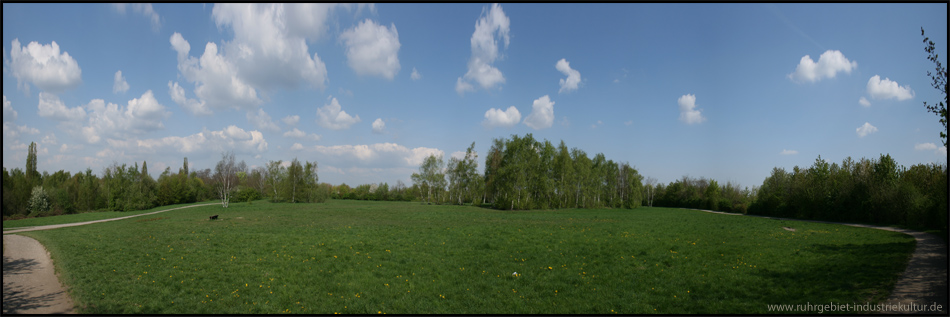 120°-Panorama über das sanft-hügelige Gipfelplateau der Halde Königsgrube. Die umlaufenden Büsche markieren die Böschungen