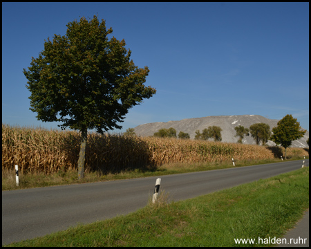 Halde im Hintergrund der Straße Schnedebruch