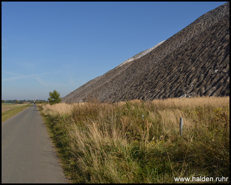 Radweg an der Haldenböschung