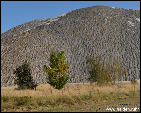 Kleine, aber zahlreiche Erosionsrinnen auf dem gesamten Hang