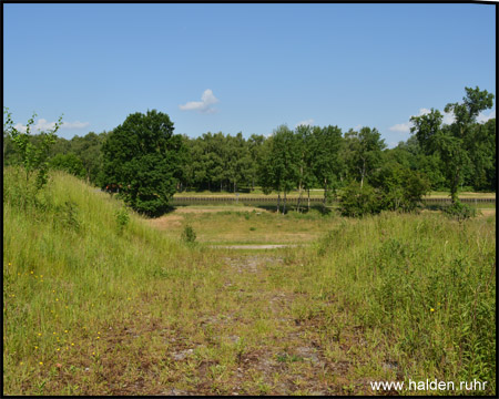 Blick vom nördlichen Haldenplateau