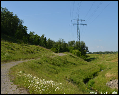 Ölmühlenbach, der sogleich den Kanal unterqueren wird